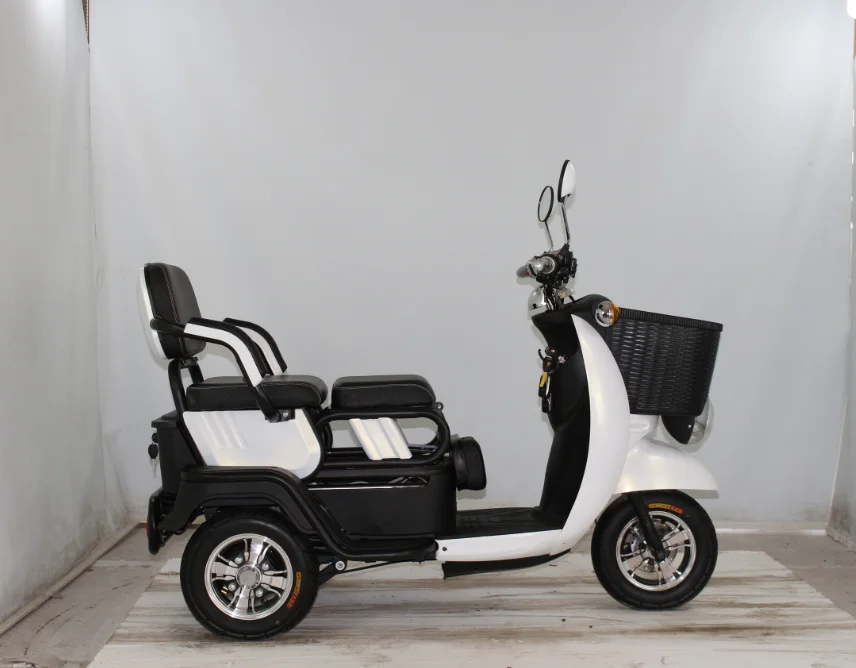 Electric 3-Wheel Trike Scooter for Elderly & Disabled Passenger 60V ...