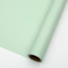 085 Vert pastel