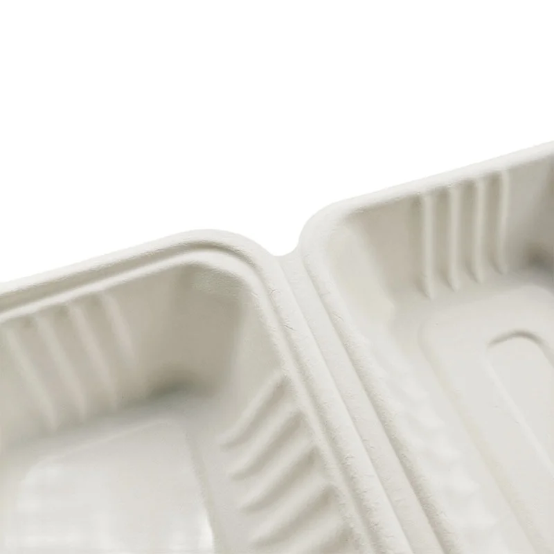 Compostable Sugarcane Bagasse Pulp Clamshell Lunch Box 9x6 Inch Eco ...