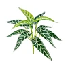 Verde e bianco