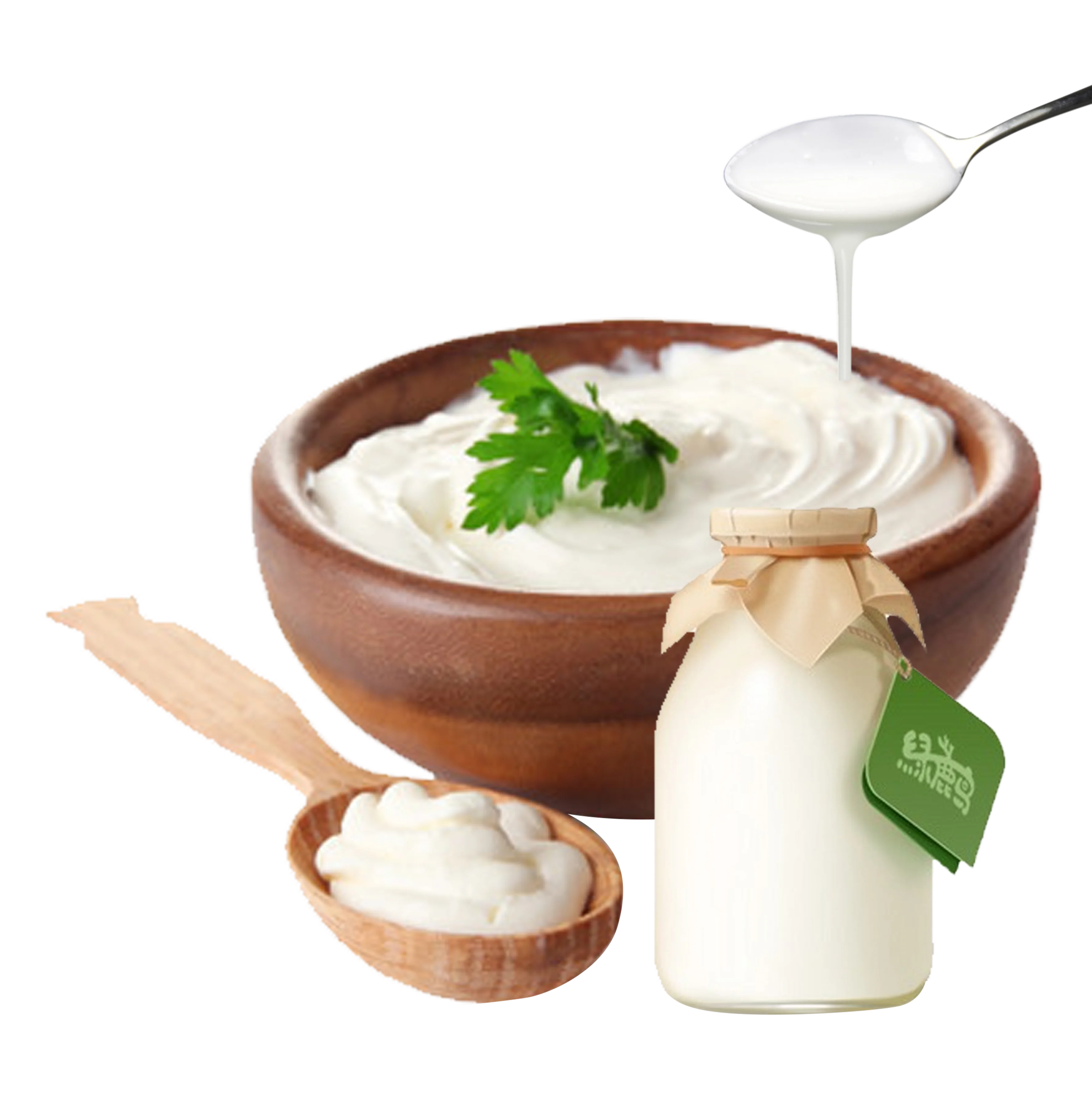 Productos de yogur y queso Aditivos en polvo Streptococcus Thermophilus