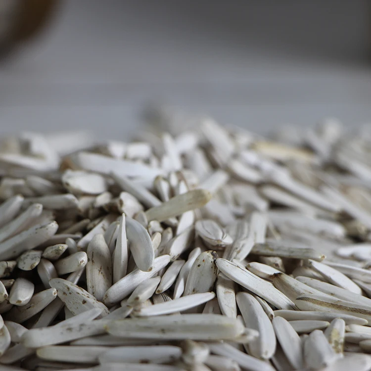 Wholesale 2020 Crop roasted salted white sunflower seeds with Shell