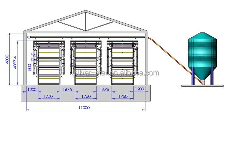 Free Plan Layout Design Cages for Layer Chicken Broiler