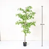 Green 180cm