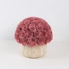 45-50 rose