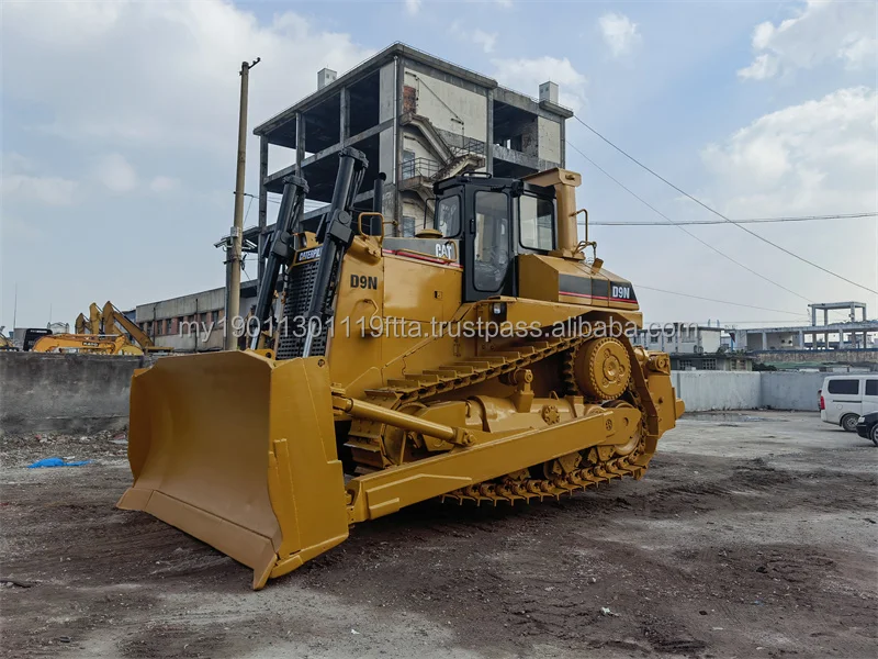 cat d9n (16).jpg