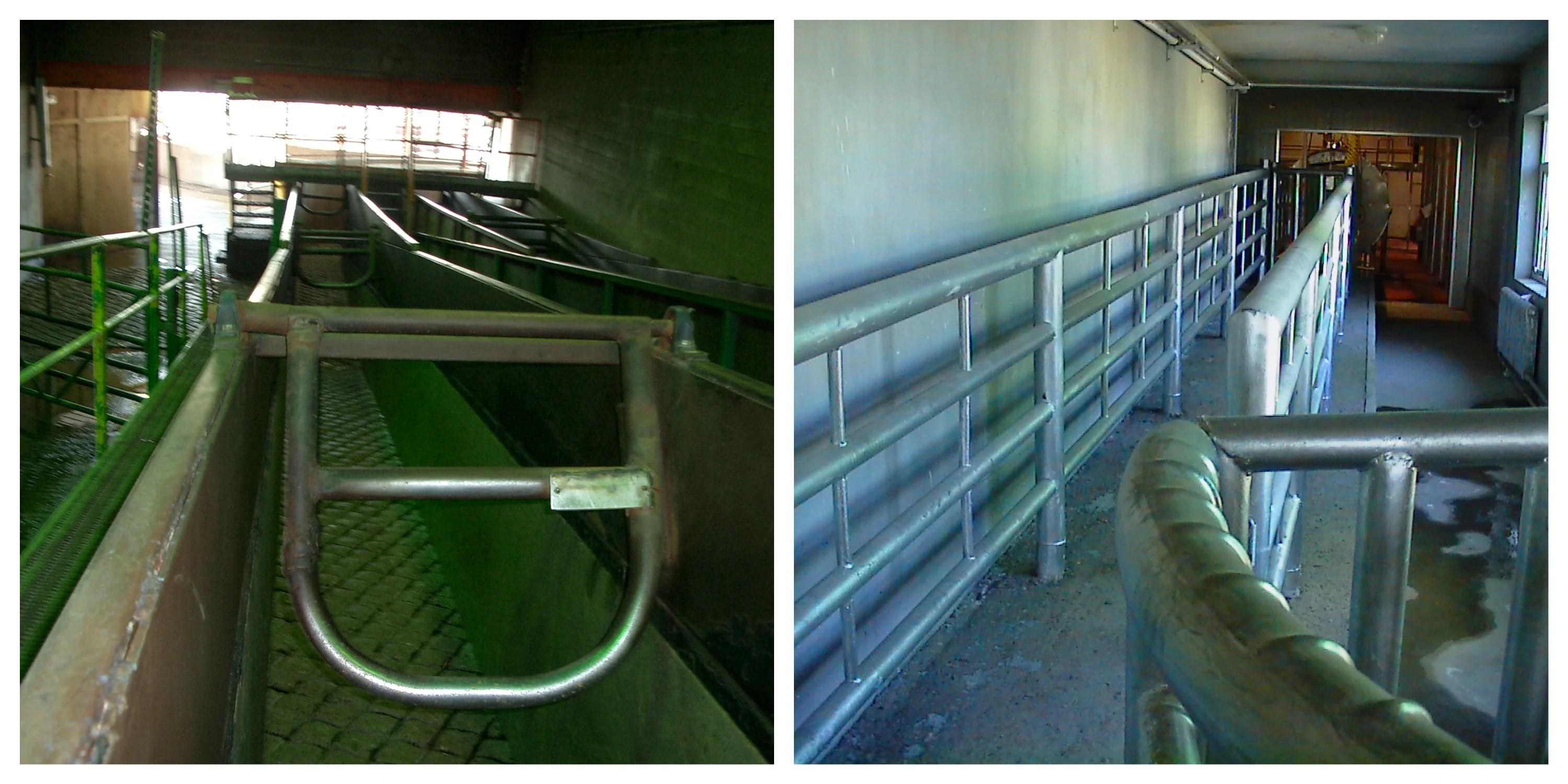 Automatic and efficient cow slaughtering production line equipment for modern slaughterhouses for cattle, sheep, chicken and pigs