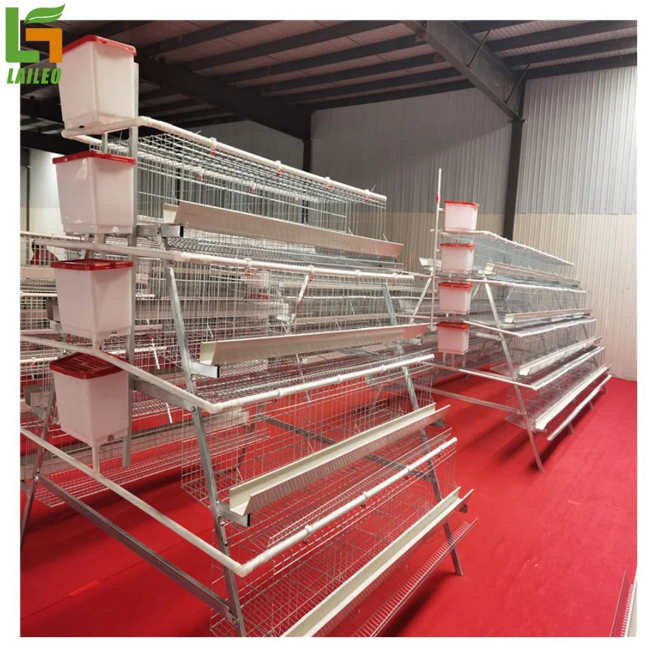 Storage Racks For Poultry Poultry Farm a Type System Chicken Layer Cage for Egg Production ...
