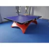 Table de ping-pong Double Bonheur Arc-en-ciel