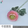 Thousand Layer Dew Lotus MHHC 2 Light Pink
