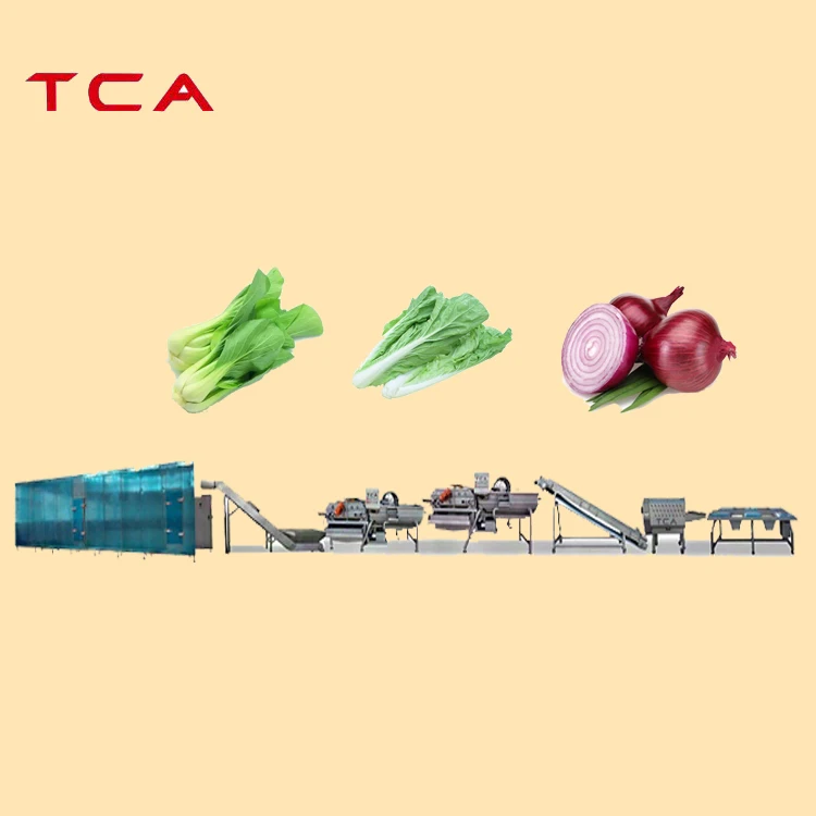 TCA Frozen Vegetable Production Line Iqf Fruits and Vegetables Line for Cucumbers Tomatoes and Snow Peas