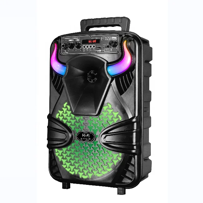Portable Mini BT Speaker with Wired Karaoke Microphone for Home Entertainment