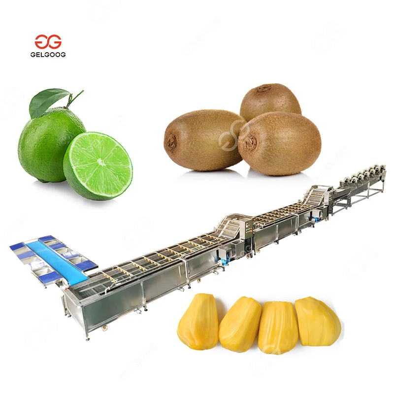 Bubble Water Organic Vegetable Washing Machine Bubble Cleaning Fruit Cleaning Tank for Onion