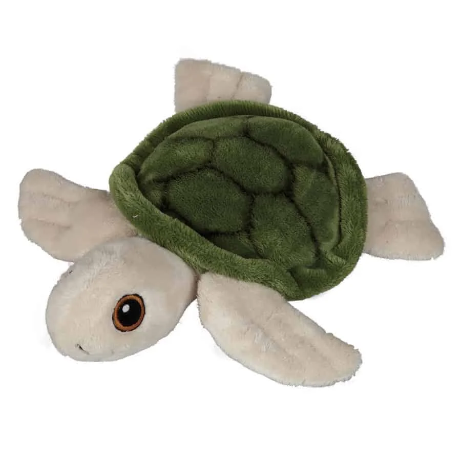 turtle teddies