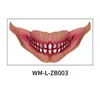 WM-L-ZB003
