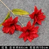 Red Three-pronged Lily Branch