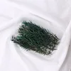 Oro verde mille strati (circa 10 grammi)