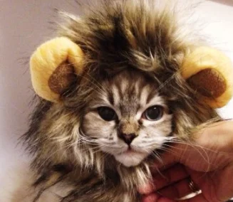 1 шт. 2020, парик для домашних животных, имитация Львиной шерсти, гривы, ушей, костюма, шарф-глушитель