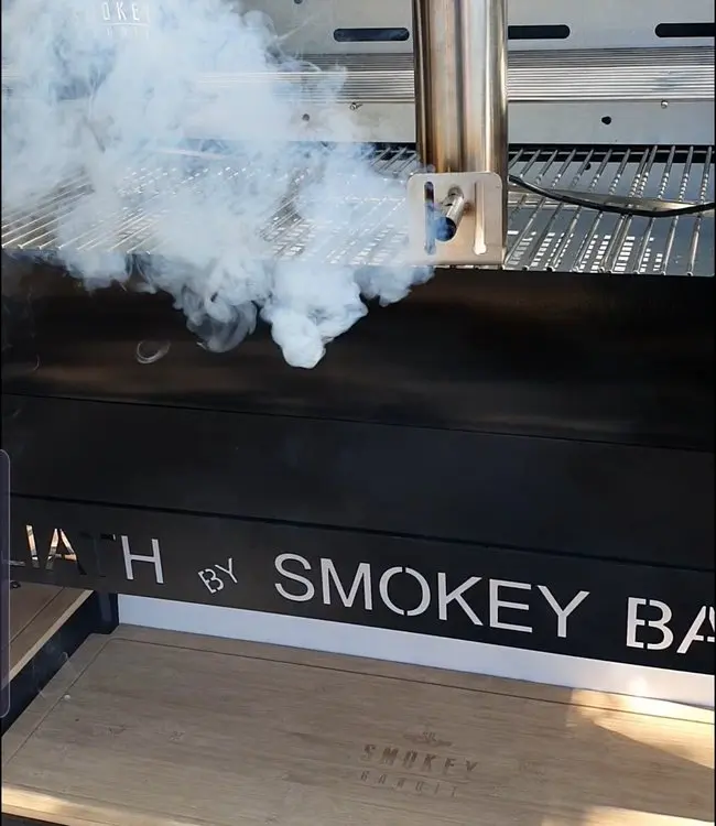 BBQ Smoke Generator Hot and Cold Smoke Generator for the Smokehouse