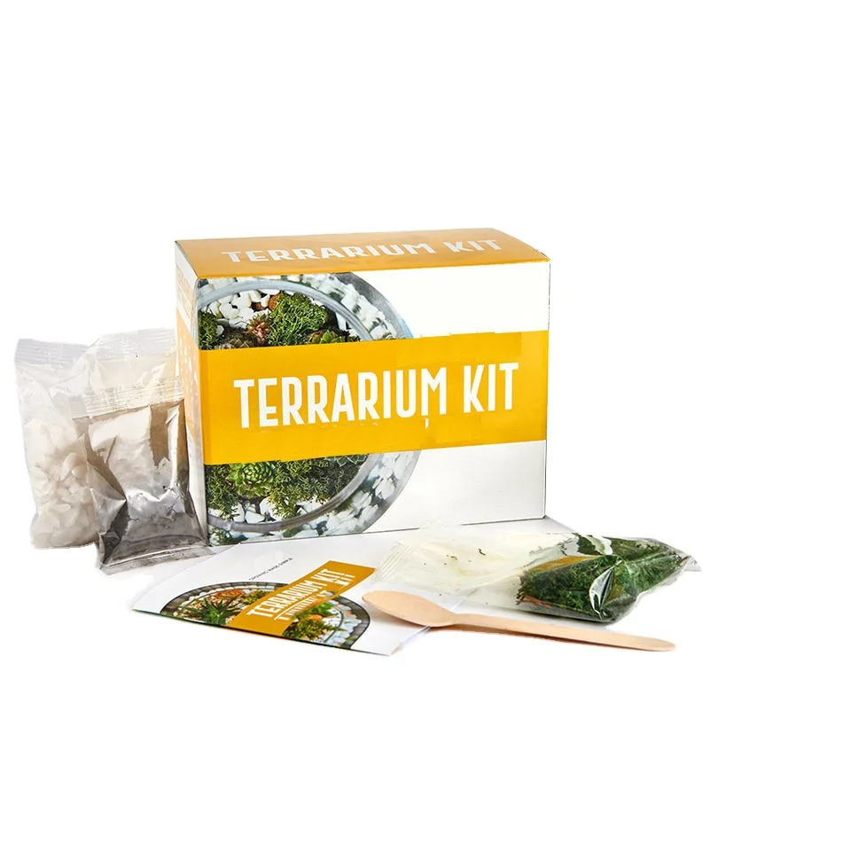 Оптовая продажа, лидер продаж, набор для домашнего сада, Террариум, набор для установки растений, суккуленты, кактусы, отличная идея для подарка для взрослых и детей