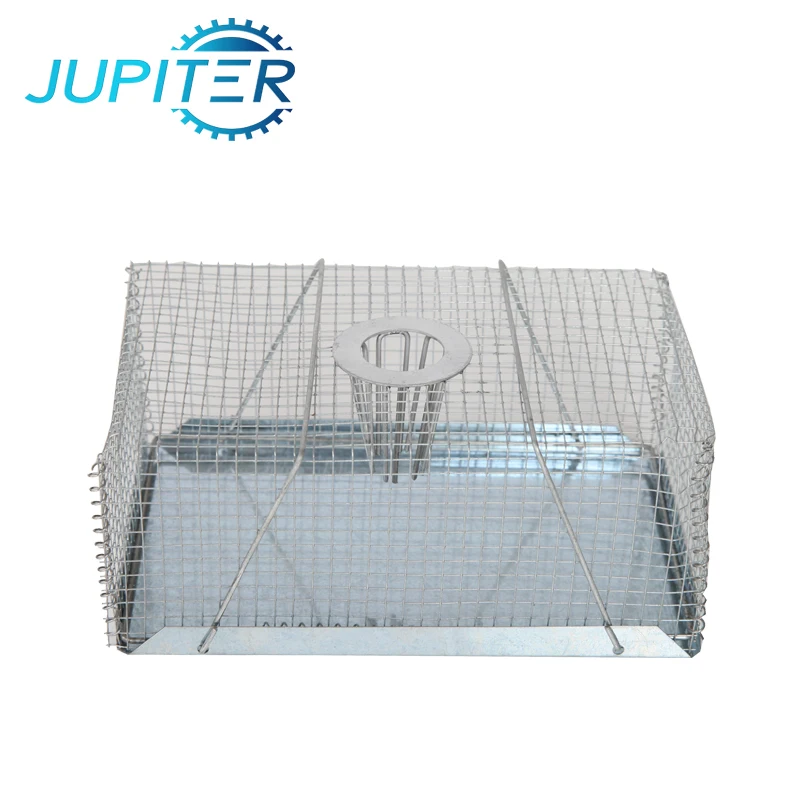 Galvanized Pest Control Steel Wire Mesh Live Wild Animal Trap Cage for Sale