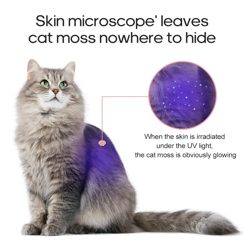 Popular Cat Laser Toy With UV Flashlight Light Funny Style Plastic Sustainable Pet Toy