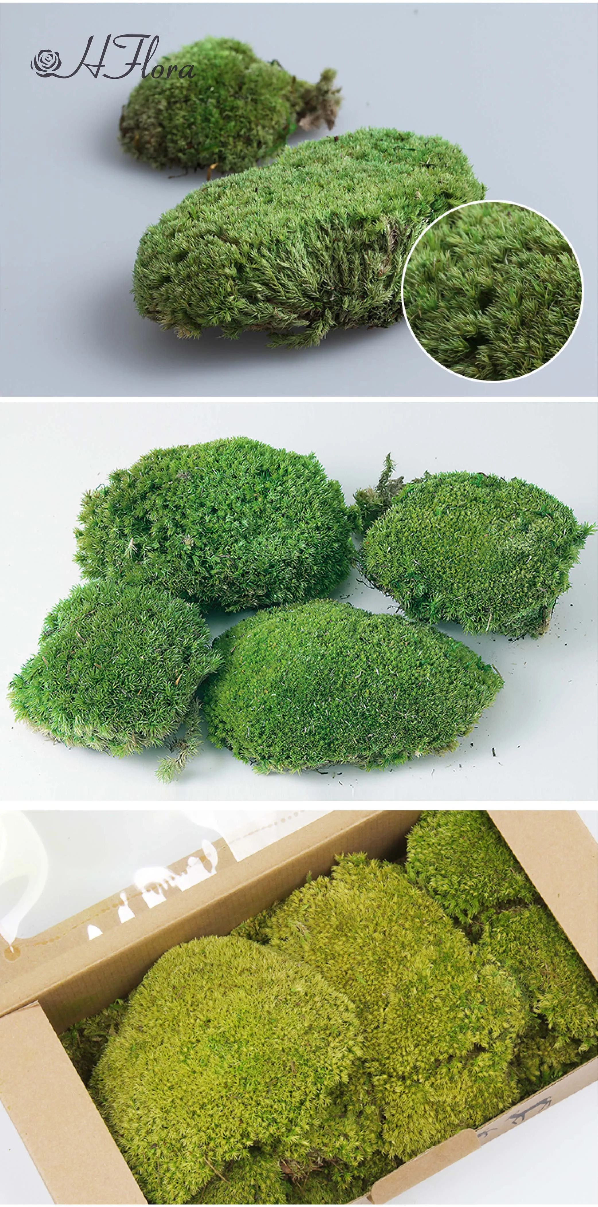 hflora批发家居花墙超苔藓墙面装饰展厅前台保存驯鹿苔藓散装