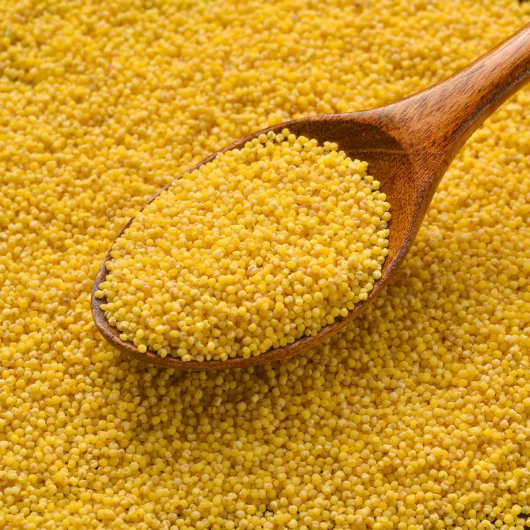 New Design Wholesale Price 500g Yellow Protein-Rich Gluten-Free Grain Millet