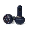 Blue Meridian Brush 3 Essential Oils  Human Meridian Diagram