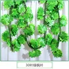 30 hojas de arce verde