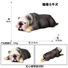 colorful M-873 Large Black Dozing Bulldog