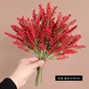 rojo