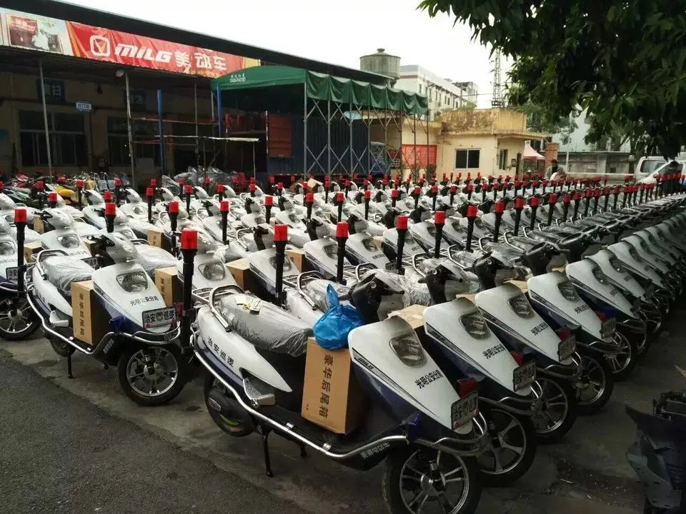 Ce Certificate 48v 450w/800w Green Power Electric Bike With Pedal ...