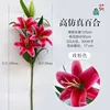 ลิลลี่ฟิล์มพิมพ์ 3 มิติแบบก้านสูง สีชมพูโรส