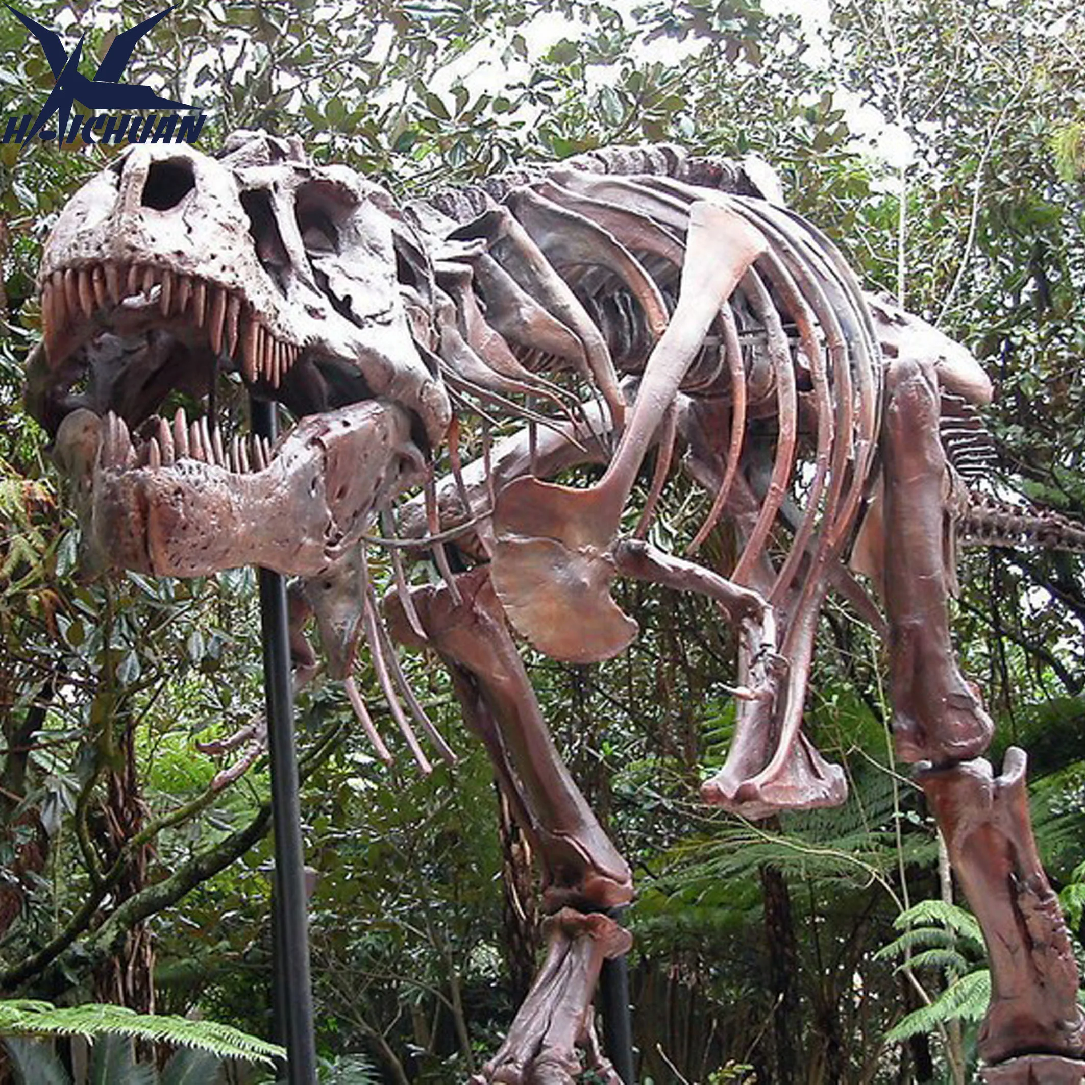 Jurassisk Skelet Fiberglas Dinosauriefossil Model Livsstørrelse T Rex Dinosaurie Skelet til Salg