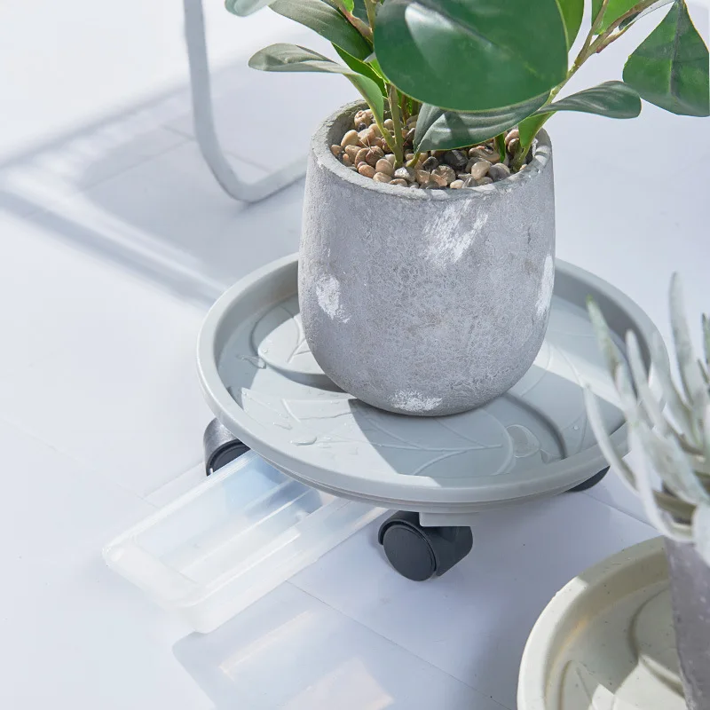 mini palm tree indoor plant Large Lady Palm Houseplant with Planter - Large (3-4' tall) Cream Planter main image 1