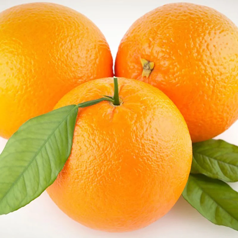 Citrus Fresh Orange мандарины