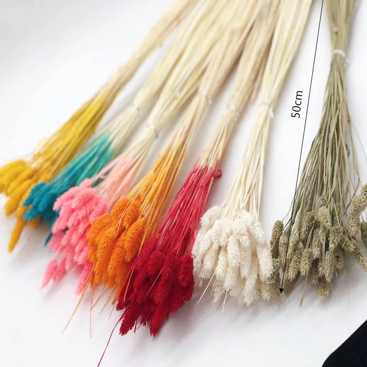 
Оптовая продажа, лидер продаж 2020, настоящие консервированные цветы Eheap, искусственные цветы и сушеные цветы, трава из драгоценных камней для украшения 