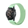 12 สีพิสตาชิโอ (เฉพาะสายนาฬิกา)