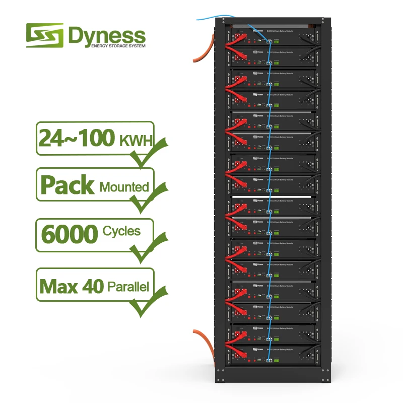 Dyness Lv1 48v Rear Rack Lithium Battery 48v 50ah Battery Module Rack Mounted  48v 500ah Server Rack Energy Storage System