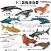 colorful [New]JS Mini Ocean 12-piece Set