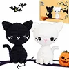 Black and White Cat