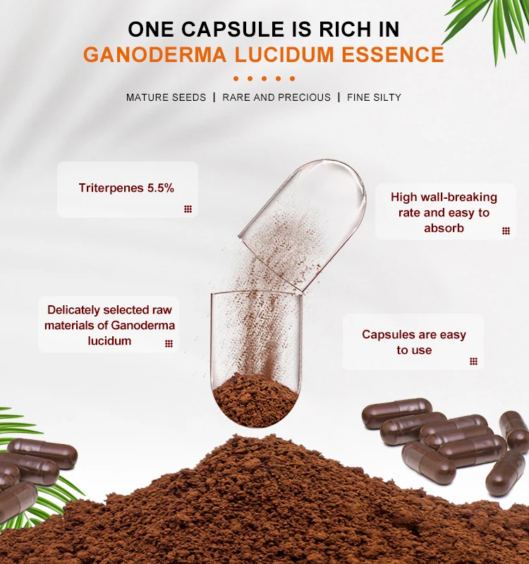 Organic Duanwood High Quality Ganoderma Lucidum Polysaccharides Extract Spore Powder CapsuleLucid G