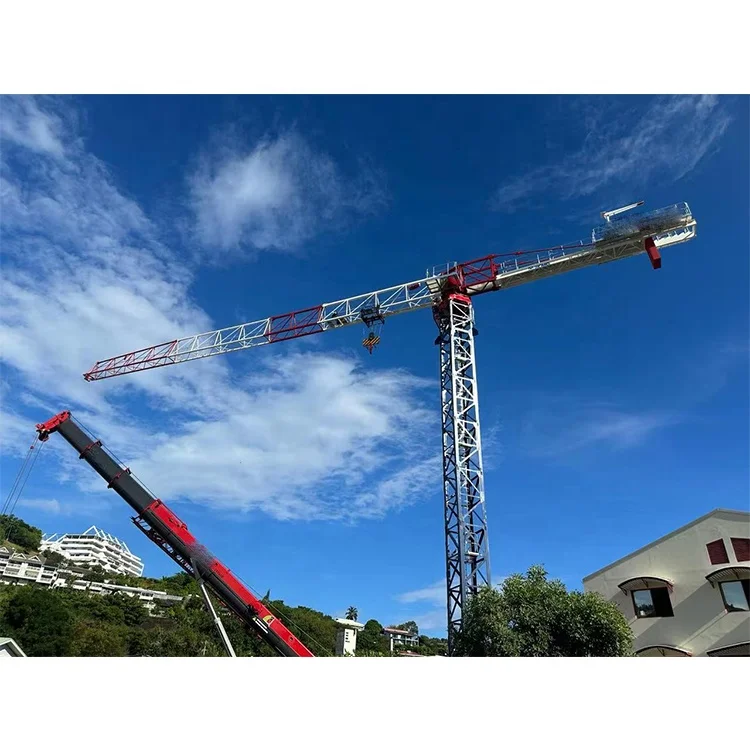 China 10t Lifting Capacity 65m Jib Length Topless Tower Crane for Sale ...