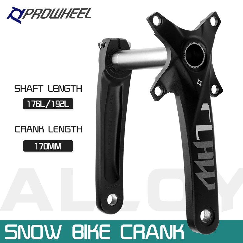 Prowheel crank 2024 arm 170