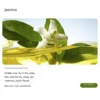 jasmine