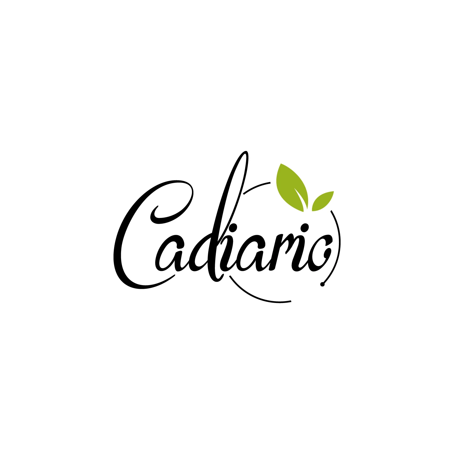 Foshan Cadiario Beauty Furniture Co., Ltd. beauty bed, massage table