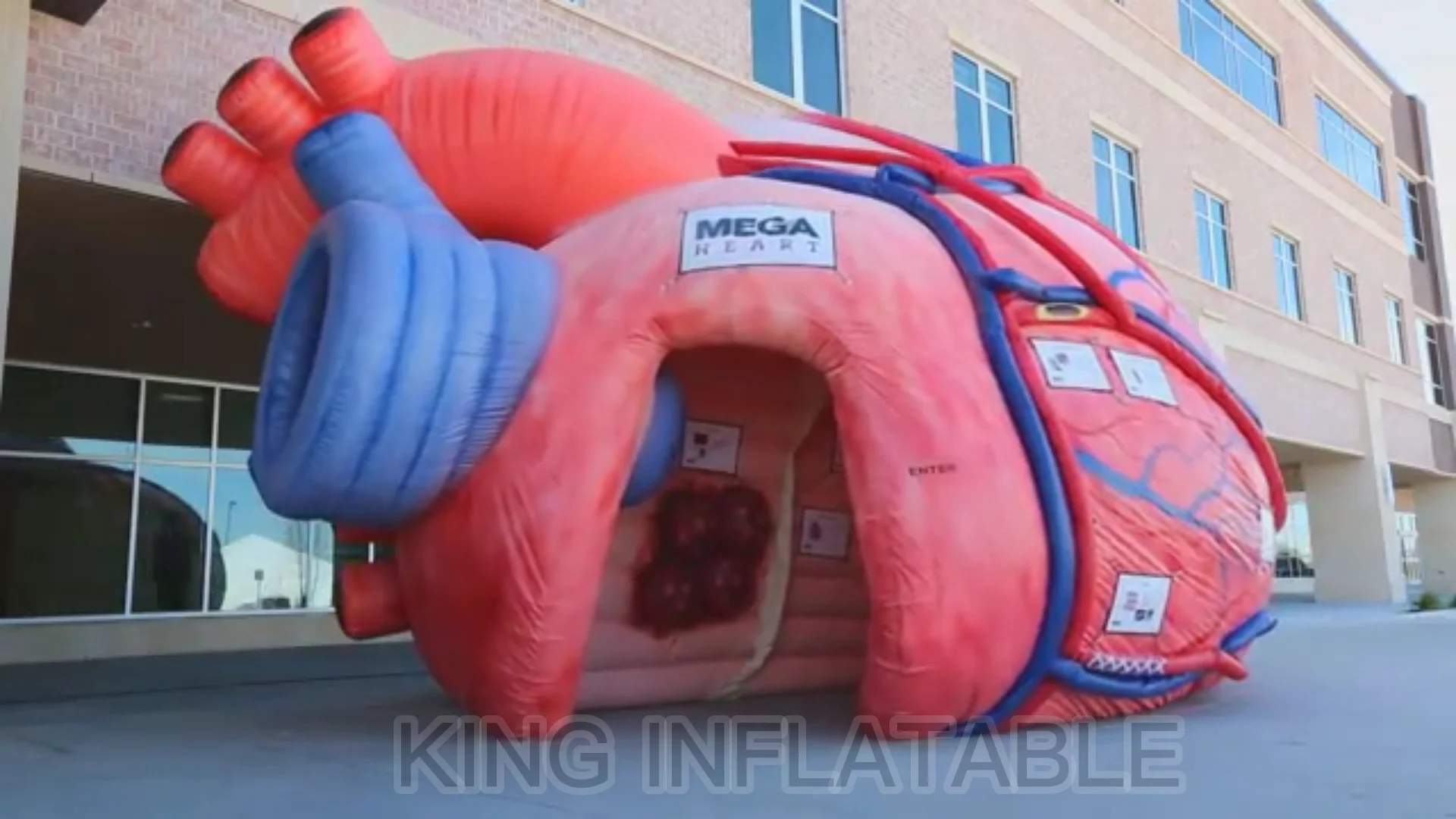 Giant Inflatable Heart Tent Model Human Body Large Organs Medical Inflatable Exhibits For