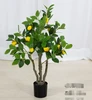 green Lemon