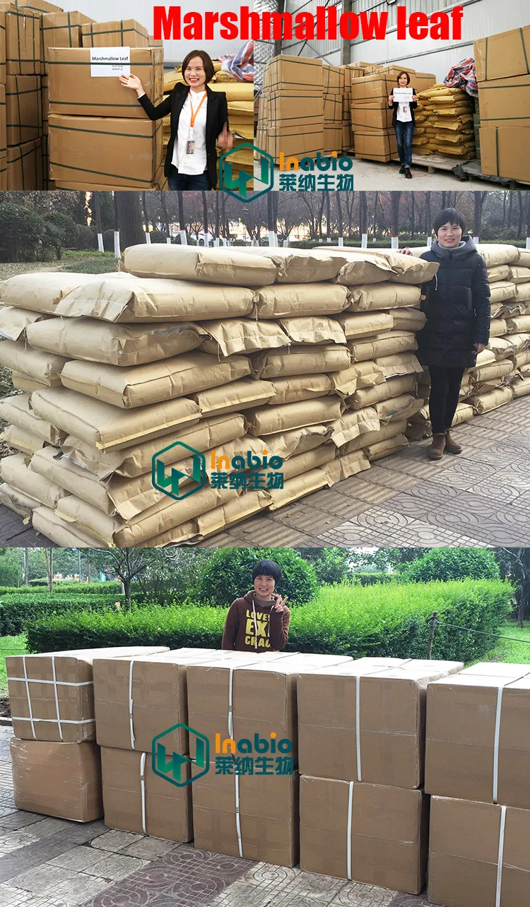 Marshmallow leaf packing.jpg